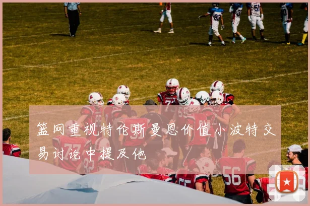 篮网重视特伦斯曼恩价值小波特交易讨论中提及他